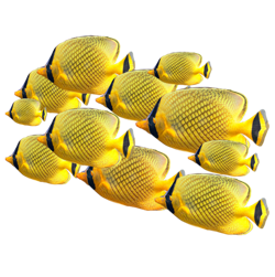 go-to-formentera-paradise-magic